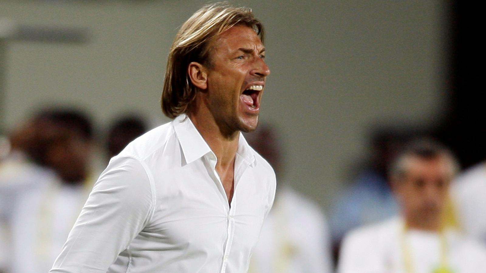herve renard on