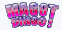 Magot Dingo