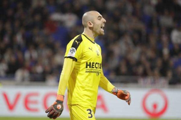 Angers : le club cherche un nouveau gardien