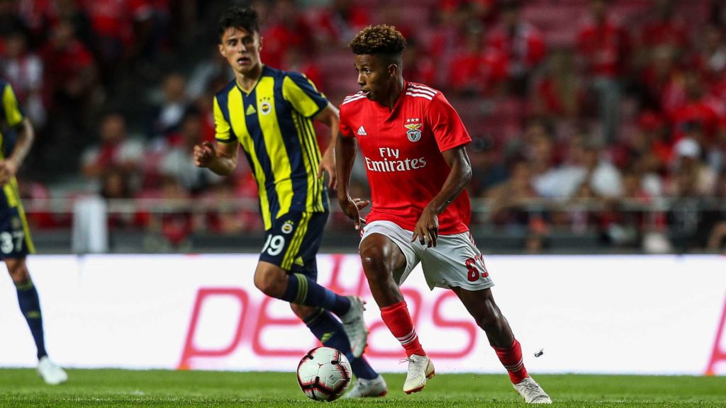 Benfica : Gedson Fernandes pourrait échapper à Lyon
