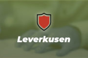 Le Bayer Leverkusen annonce la venue de Sardar Azmoun