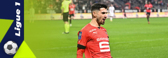 Terrier sera absent pendant 8 mois