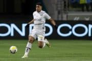 Le Real Madrid débarque dans le dossier Marcos Leonardo