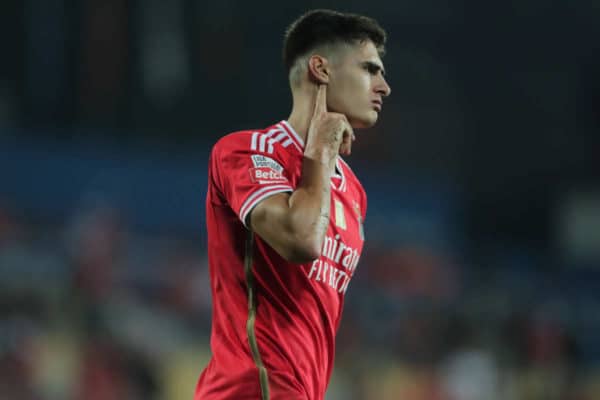 Manchester United : une offre pour une pépite de Benfica ?