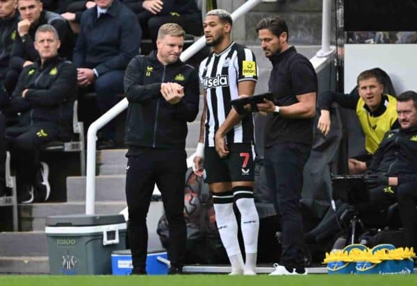 Newcastle souhaite boucler une nouvelle prolongation
