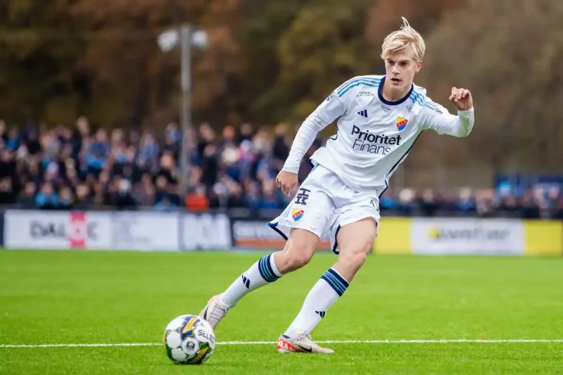 Lucas Bergvall, le diamant suédois 