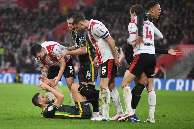 Angleterre : Southampton remporte la guerre des couleurs