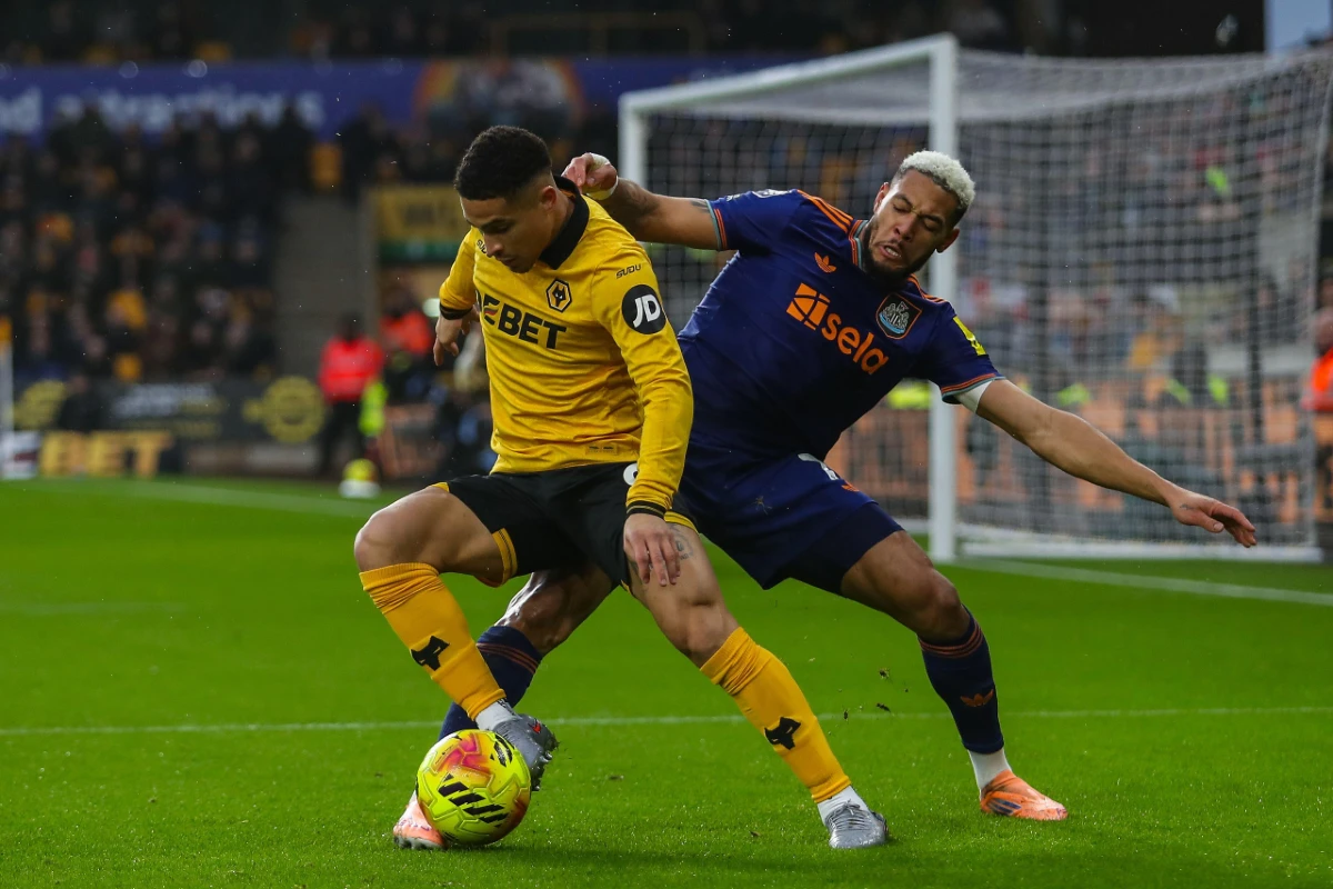 João Gomes visé par Newcastle ©Alamy