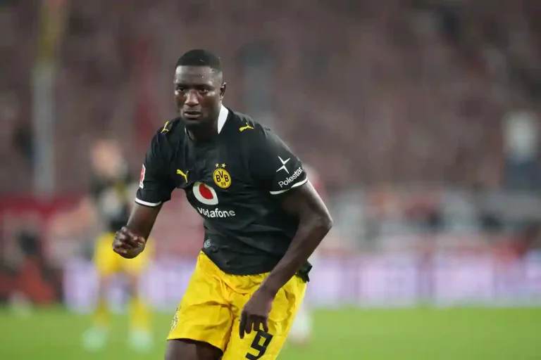 Serhou Guirassy sous le maillot de Dortmund