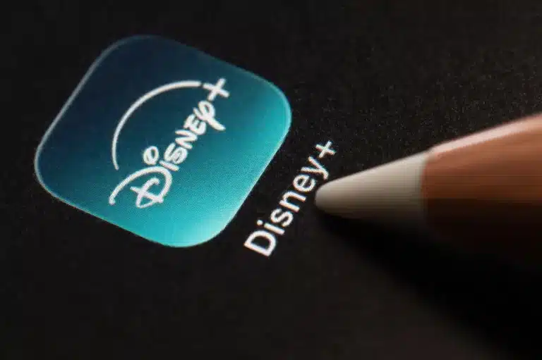 Officiel : Disney+ rachète les droits de diffusion de The Bridge